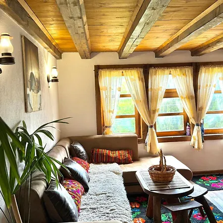 Art Guest Home Guest house